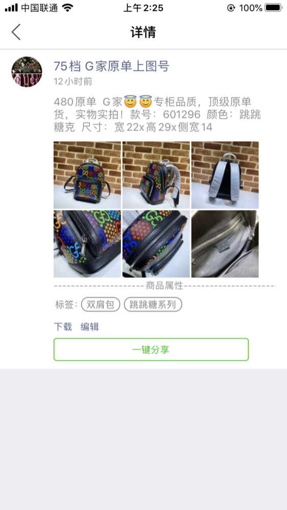 Luxury Backpack