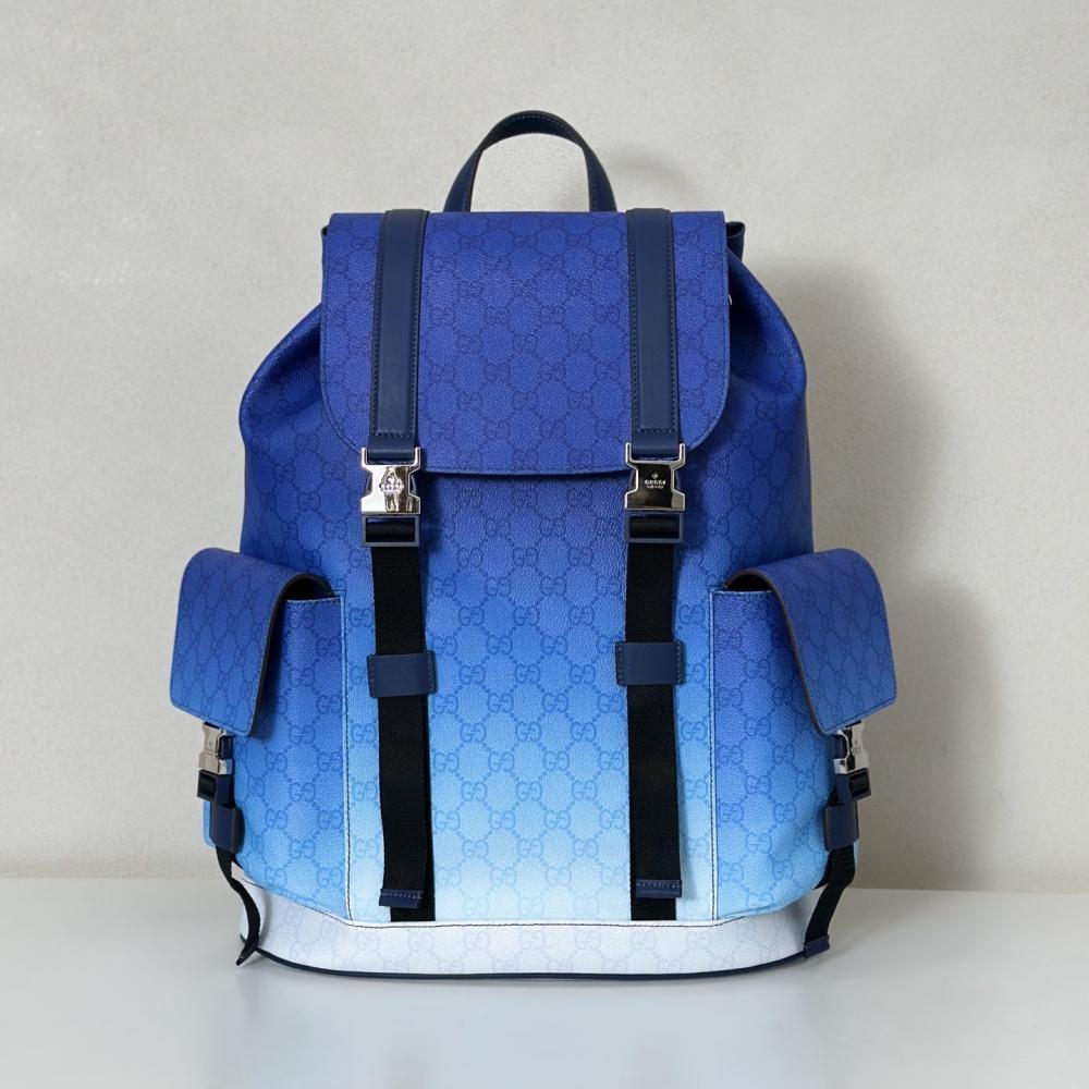 Elegant Backpack