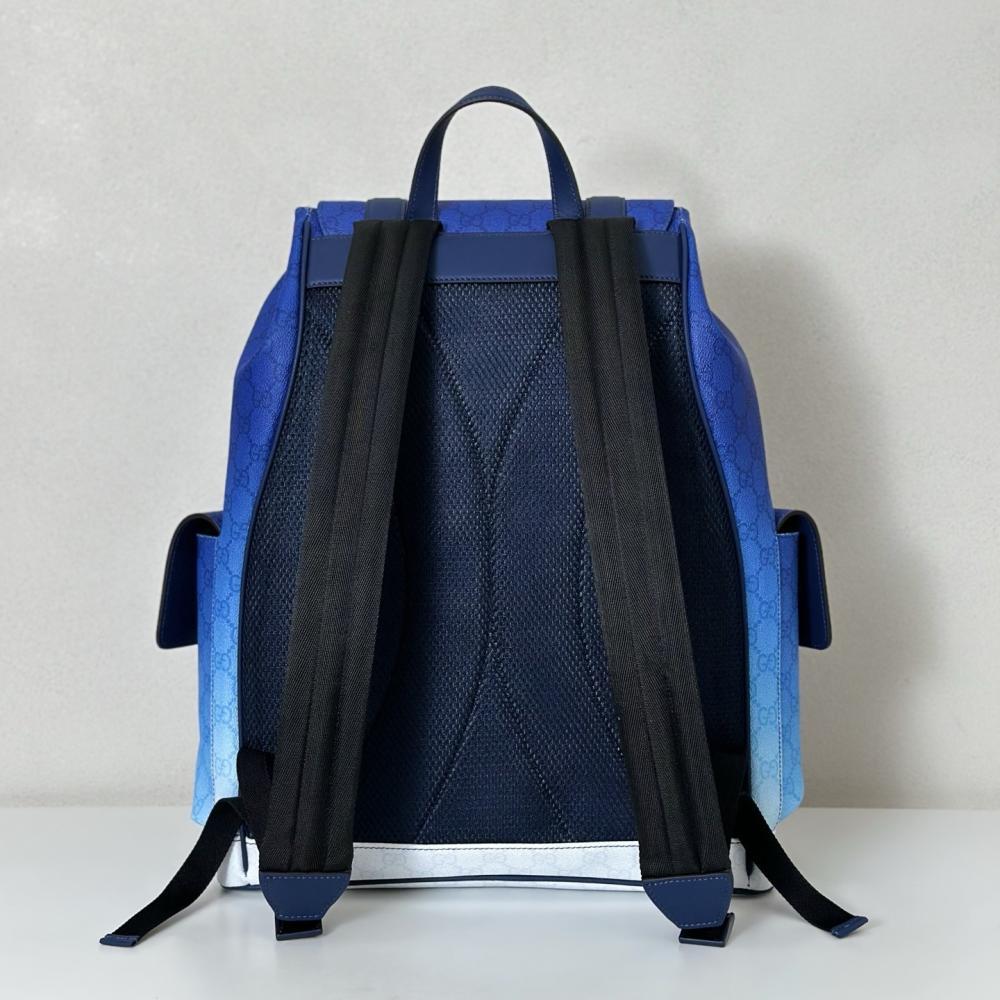 Elegant Backpack