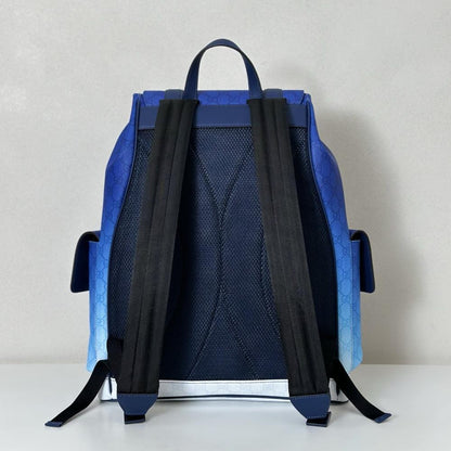 Elegant Backpack