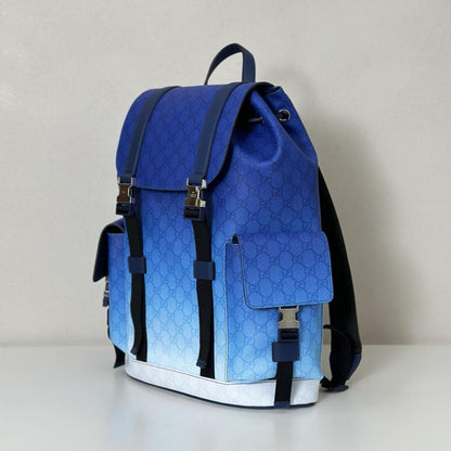 Elegant Backpack