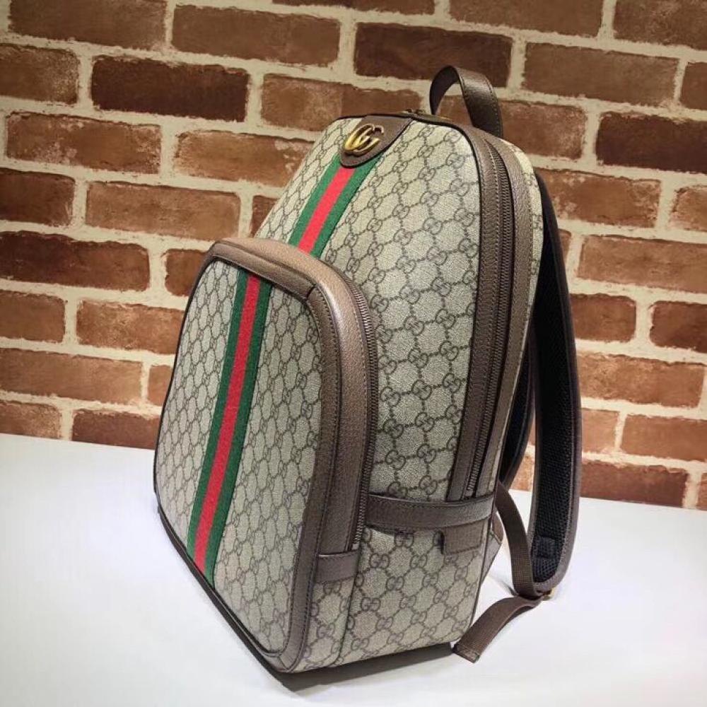 Luxury Backpack