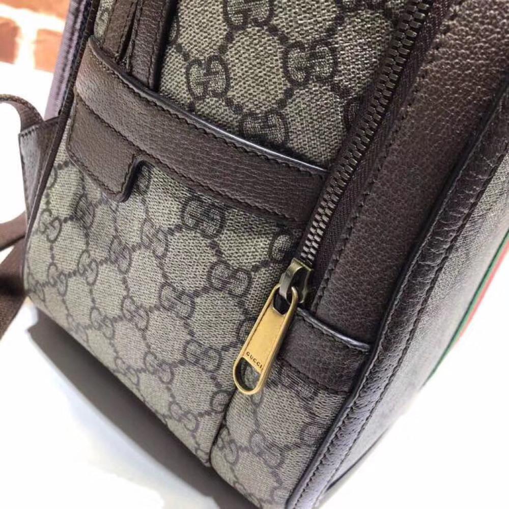 Luxury Backpack