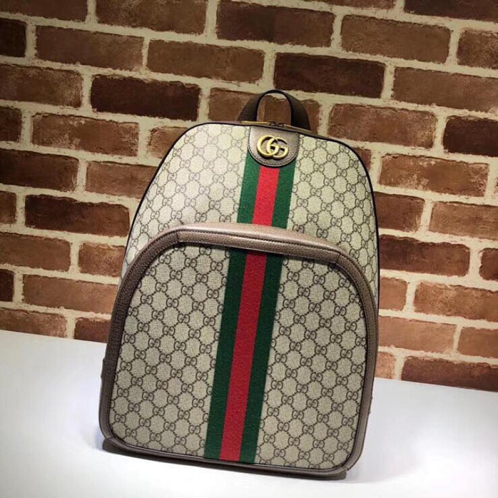 Luxury Backpack